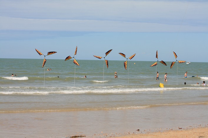 Notre Dame Kite Festival, France, 7-10 July 2011 - 11not10img101.jpg