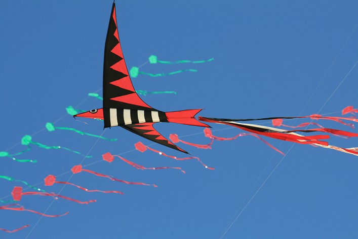 Notre Dame Kite Festival, France, 7-10 July 2011 - 11not10img112.jpg