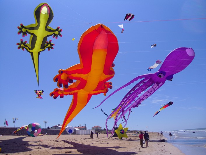 Notre Dame Kite Festival, France, 7-10 July 2011 - 11not10img125.jpg