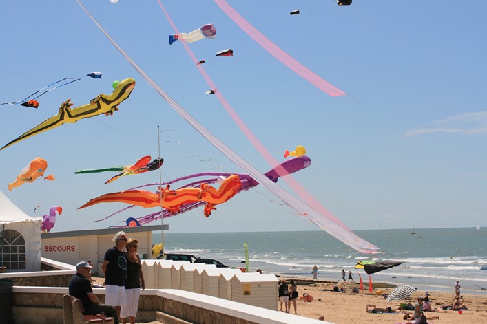 Notre Dame Kite Festival, France, 7-10 July 2011 - 11not10img143.jpg