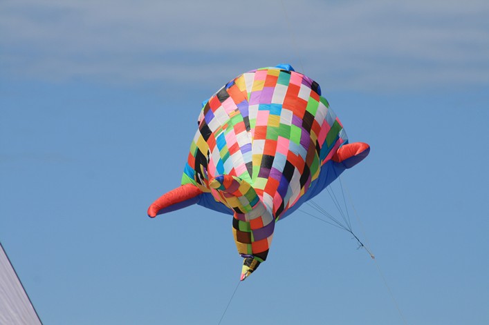 Notre Dame Kite Festival, France, 7-10 July 2011 - 11not10img160.jpg