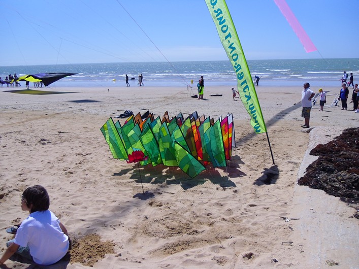 Notre Dame Kite Festival, France, 7-10 July 2011 - 11not10img169.jpg