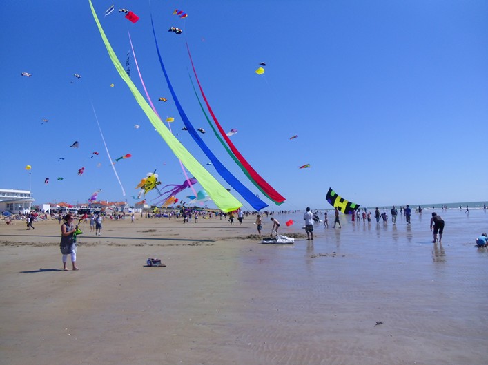 Notre Dame Kite Festival, France, 7-10 July 2011 - 11not10img174.jpg