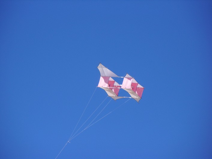 Notre Dame Kite Festival, France, 7-10 July 2011 - 11not10img178.jpg