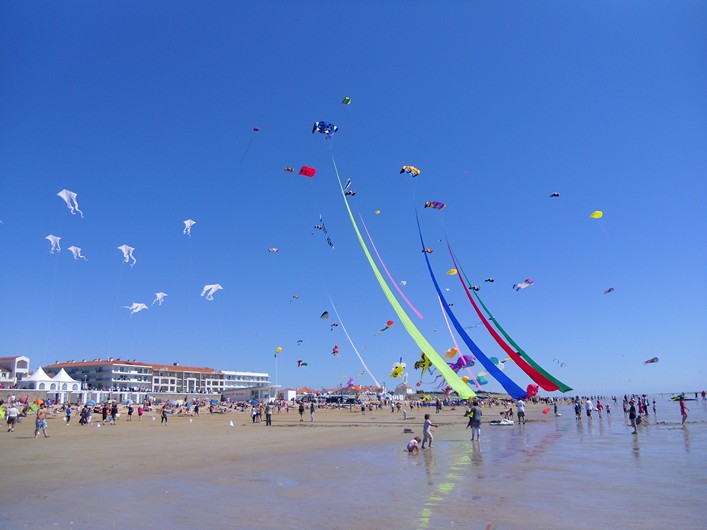 Notre Dame Kite Festival, France, 7-10 July 2011 - 11not10img182.jpg