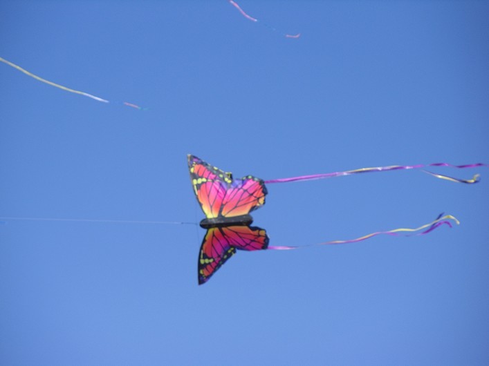 Notre Dame Kite Festival, France, 7-10 July 2011 - 11not10img187.jpg