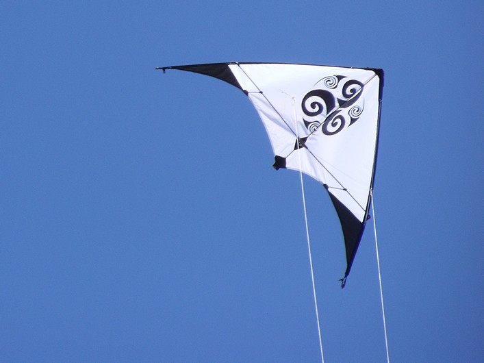 Notre Dame Kite Festival, France, 7-10 July 2011 - 11not10img189.jpg