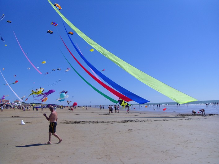 Notre Dame Kite Festival, France, 7-10 July 2011 - 11not10img191.jpg