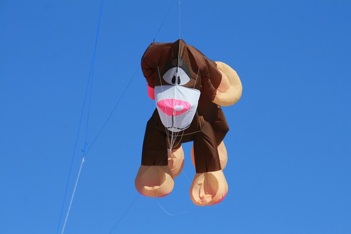 Notre Dame Kite Festival, France, 7-10 July 2011 - 11not10img204.jpg