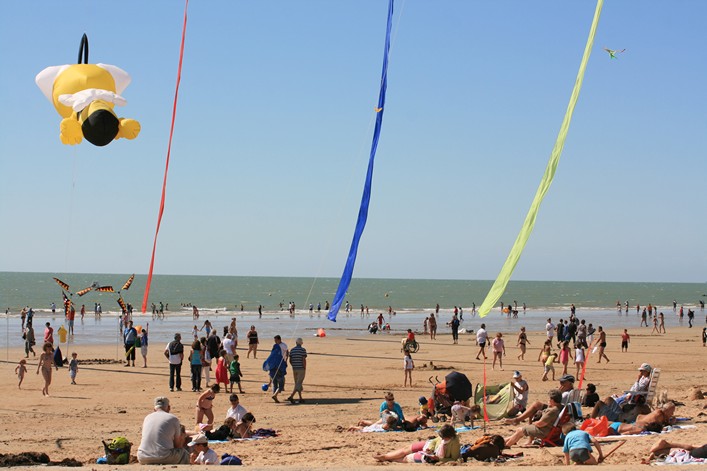 Notre Dame Kite Festival, France, 7-10 July 2011 - 11not10img209.jpg