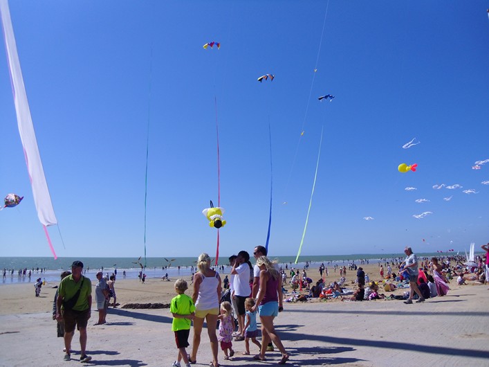 Notre Dame Kite Festival, France, 7-10 July 2011 - 11not10img219.jpg