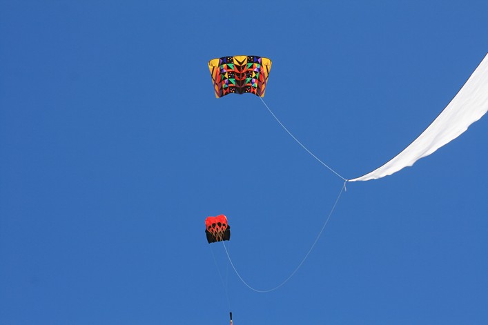 Notre Dame Kite Festival, France, 7-10 July 2011 - 11not10img235.jpg