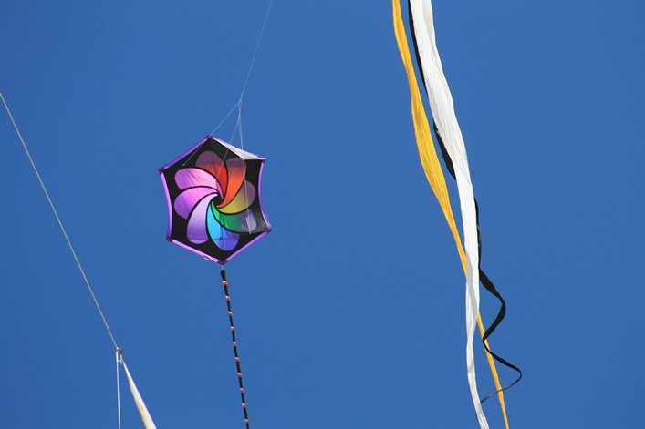 Notre Dame Kite Festival, France, 7-10 July 2011 - 11not10img248.jpg