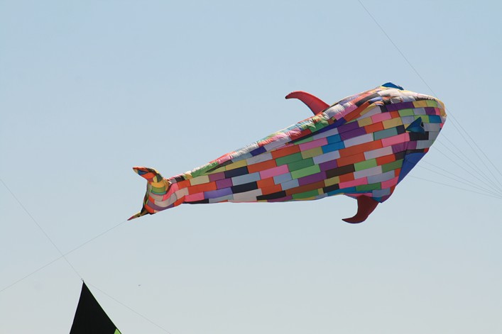 Notre Dame Kite Festival, France, 7-10 July 2011 - 11not10img269.jpg