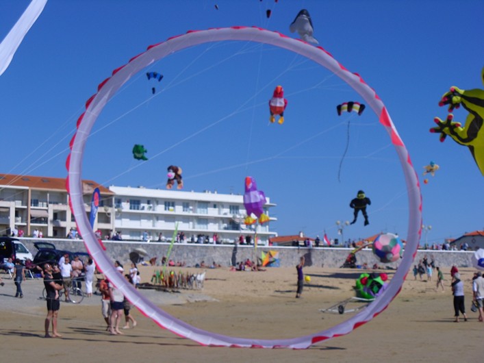 Notre Dame Kite Festival, France, 7-10 July 2011 - 11not10img277.jpg