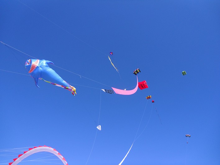 Notre Dame Kite Festival, France, 7-10 July 2011 - 11not10img281.jpg