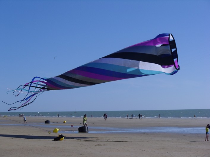 Notre Dame Kite Festival, France, 7-10 July 2011 - 11not10img285.jpg