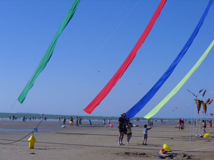 Notre Dame Kite Festival, France, 7-10 July 2011 - 11not10img286.jpg