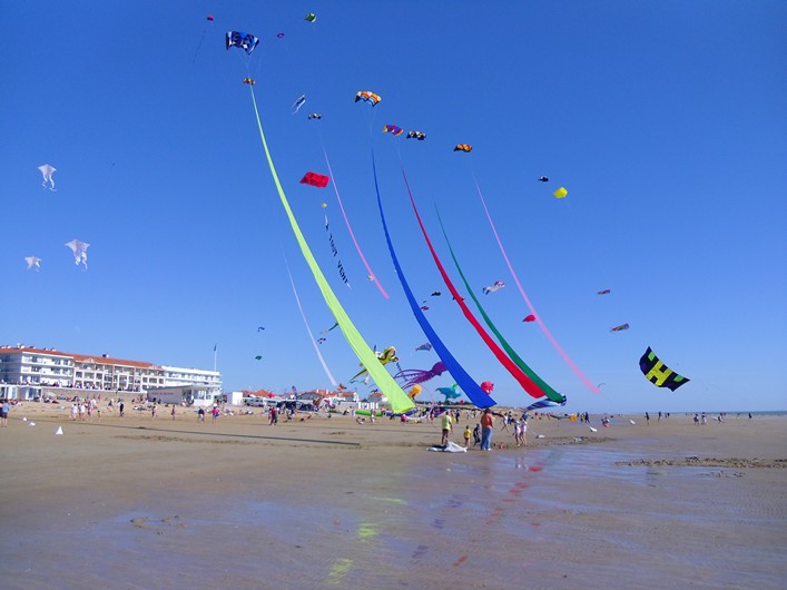 Notre Dame Kite Festival, France, 7-10 July 2011 - 11not10img304.jpg