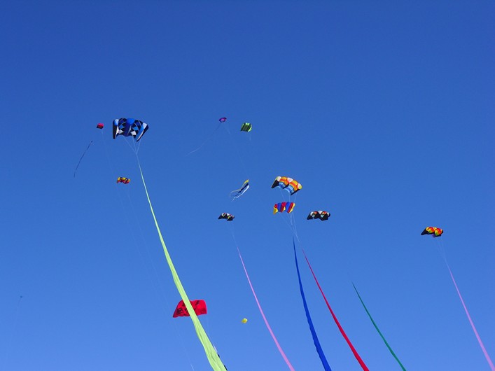 Notre Dame Kite Festival, France, 7-10 July 2011 - 11not10img305.jpg