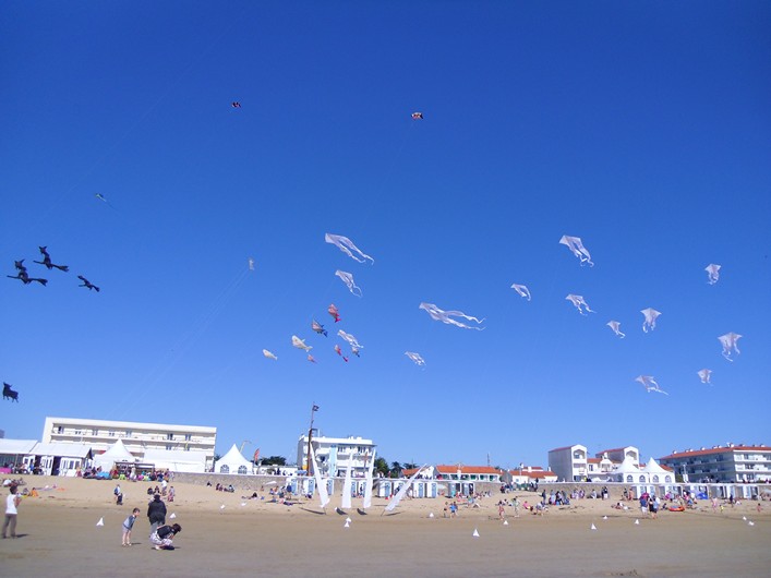 Notre Dame Kite Festival, France, 7-10 July 2011 - 11not10img306.jpg