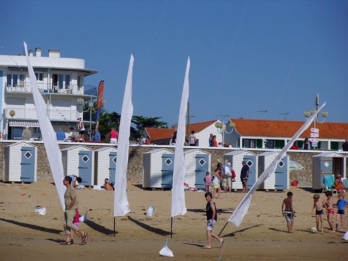 Notre Dame Kite Festival, France, 7-10 July 2011 - 11not10img311.jpg