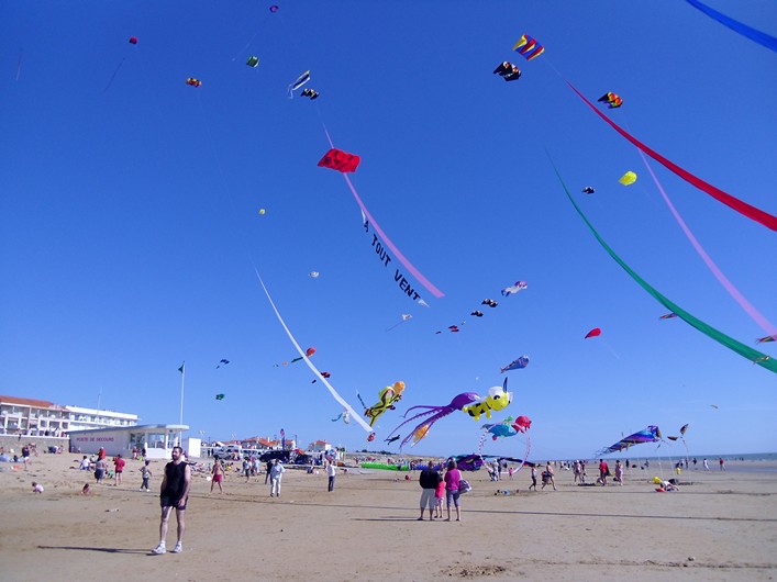 Notre Dame Kite Festival, France, 7-10 July 2011 - 11not10img313.jpg