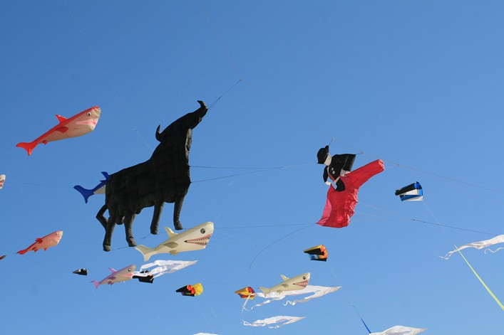 Notre Dame Kite Festival, France, 7-10 July 2011 - 11not10img331.jpg