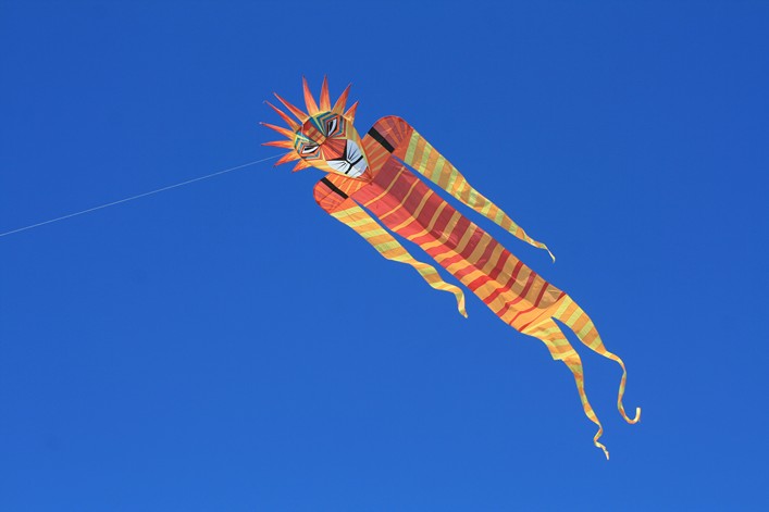 Notre Dame Kite Festival, France, 7-10 July 2011 - 11not10img340.jpg