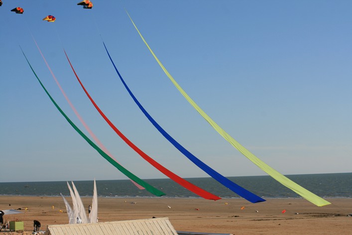 Notre Dame Kite Festival, France, 7-10 July 2011 - 11not10img367.jpg