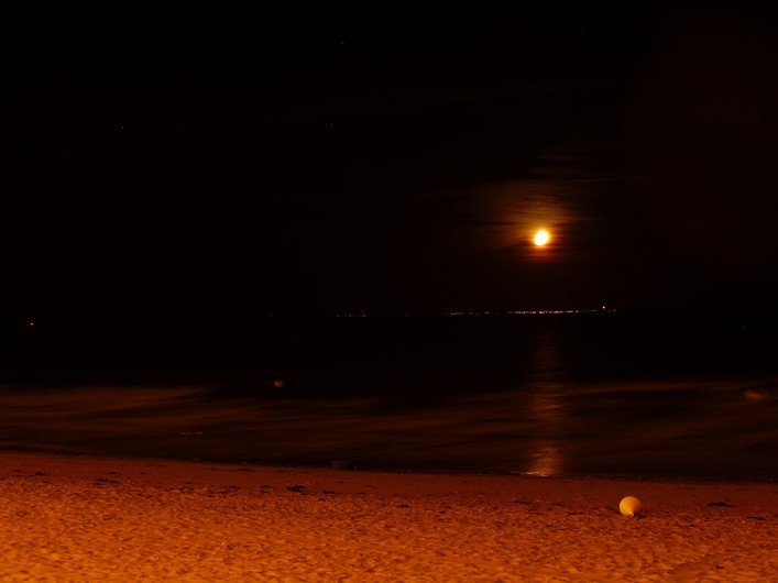 Notre Dame Kite Festival, France, 7-10 July 2011 - 11not10img399.jpg