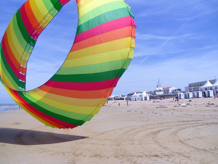 Notre Dame Kite Festival, France, 7-10 July 2011 - 11not11img013.jpg
