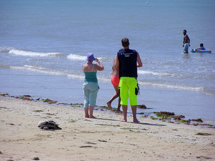 Notre Dame Kite Festival, France, 7-10 July 2011 - 11not11img026.jpg