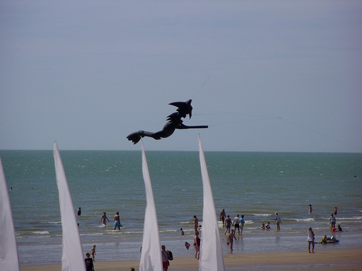 Notre Dame Kite Festival, France, 7-10 July 2011 - 11not11img084.jpg