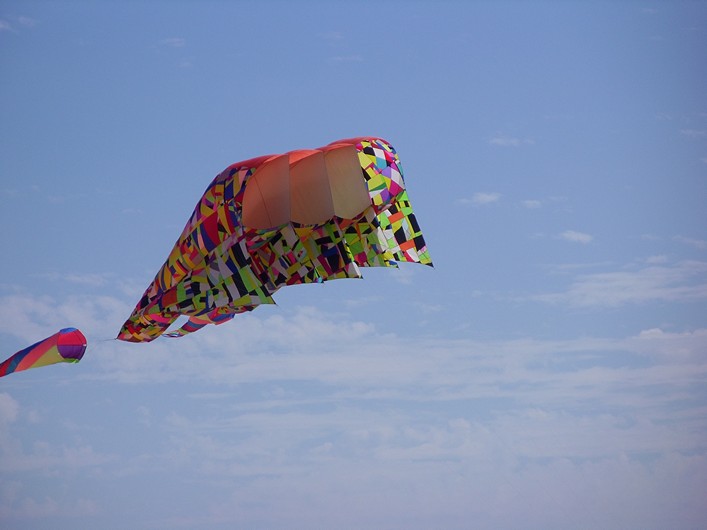 Notre Dame Kite Festival, France, 7-10 July 2011 - 11not11img088.jpg