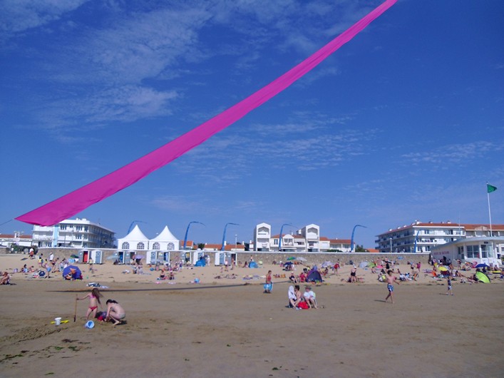 Notre Dame Kite Festival, France, 7-10 July 2011 - 11not11img092.jpg