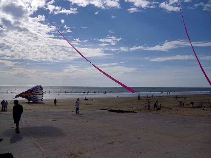 Notre Dame Kite Festival, France, 7-10 July 2011 - 11not11img099.jpg
