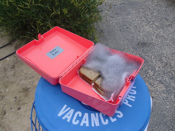 Notre Dame Kite Festival, France, 7-10 July 2011 - 11not12img033.jpg