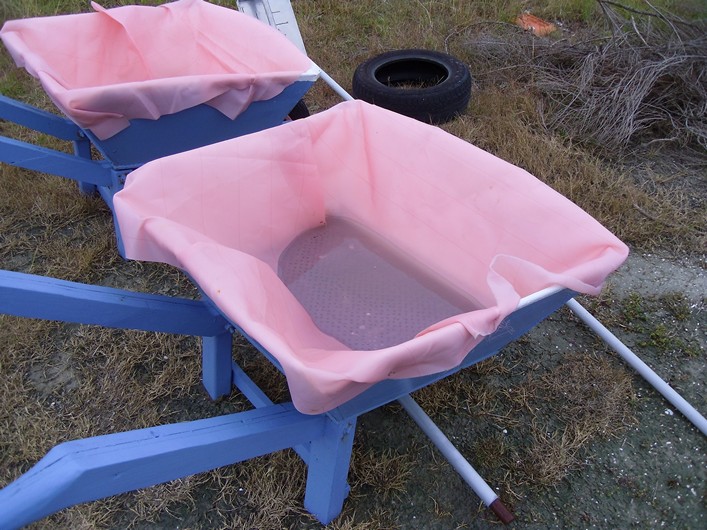 Notre Dame Kite Festival, France, 7-10 July 2011 - 11not12img089.jpg