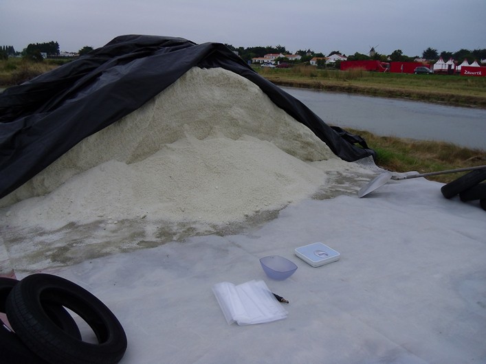 Notre Dame Kite Festival, France, 7-10 July 2011 - 11not12img093.jpg