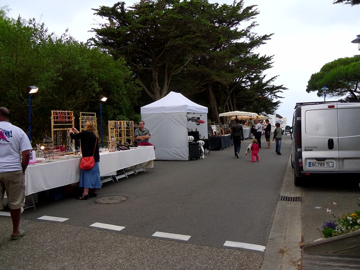 Notre Dame Kite Festival, France, 7-10 July 2011 - 11not12img100.jpg