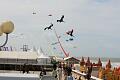 Notre Dame Kite Festival, France, 7-10 July 2011 - 11not08img076.jpg
