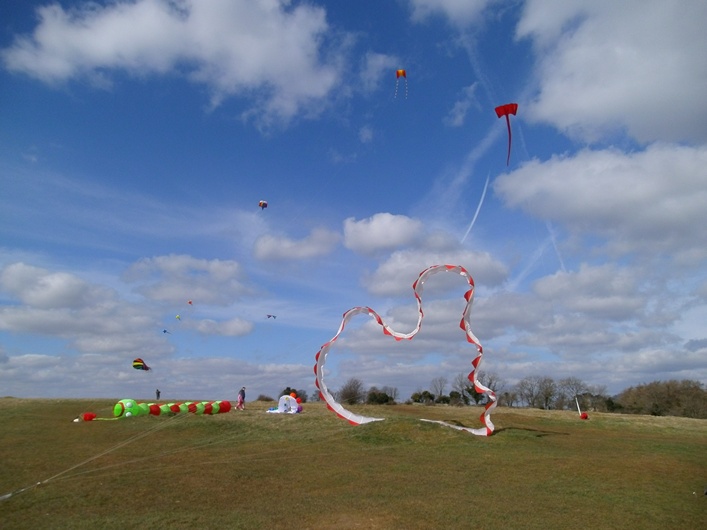 Rodborough Common, 31 March 2013 - 13Rod31img002.jpg