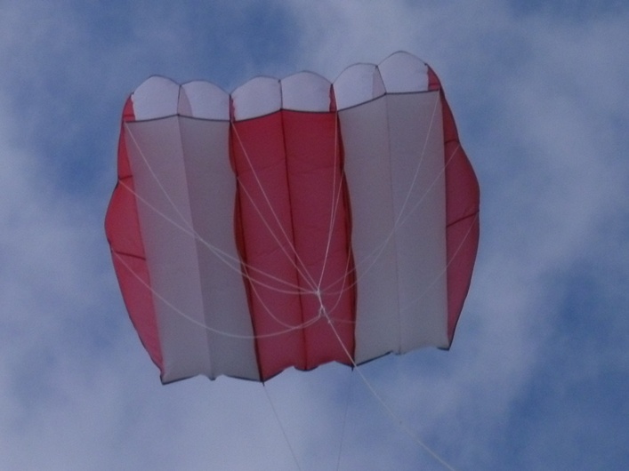 Rodborough Common, 31 March 2013 - 13Rod31img021.jpg