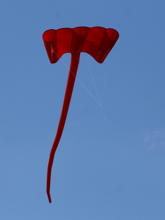 Rodborough Common, 31 March 2013 - 13Rod31img024.jpg