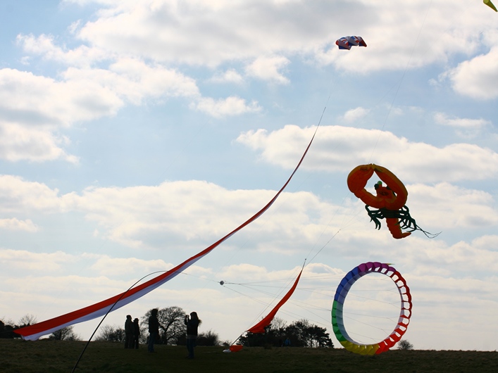 Rodborough Common, 31 March 2013 - 13Rod31img028.jpg