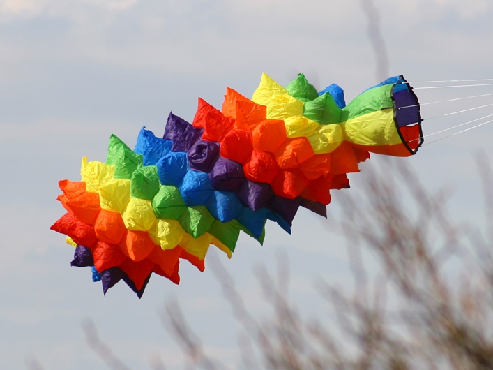 Rodborough Common, 31 March 2013 - 13Rod31img039.jpg