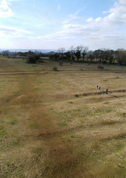 Rodborough Common, 31 March 2013 - 13Rod31img123.jpg