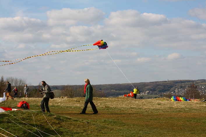 Rodborough Common, 31 March 2013 - 13Rod31img163.jpg
