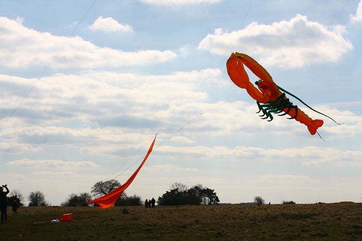 Rodborough Common, 31 March 2013 - 13Rod31img170.jpg